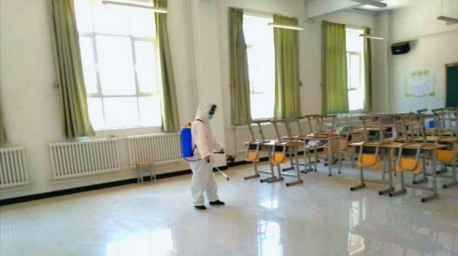 1589026825241053218.jpg 4.jpg