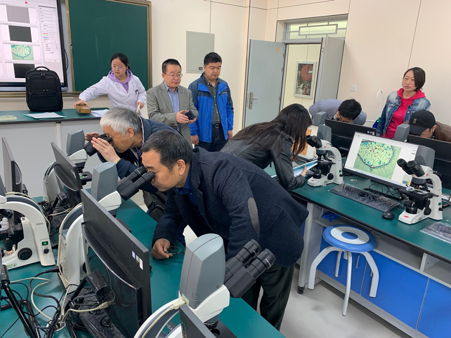 1618993114360062396.jpg 9E69BE09BBD103CBBF0301761C9FC0D2.jpg