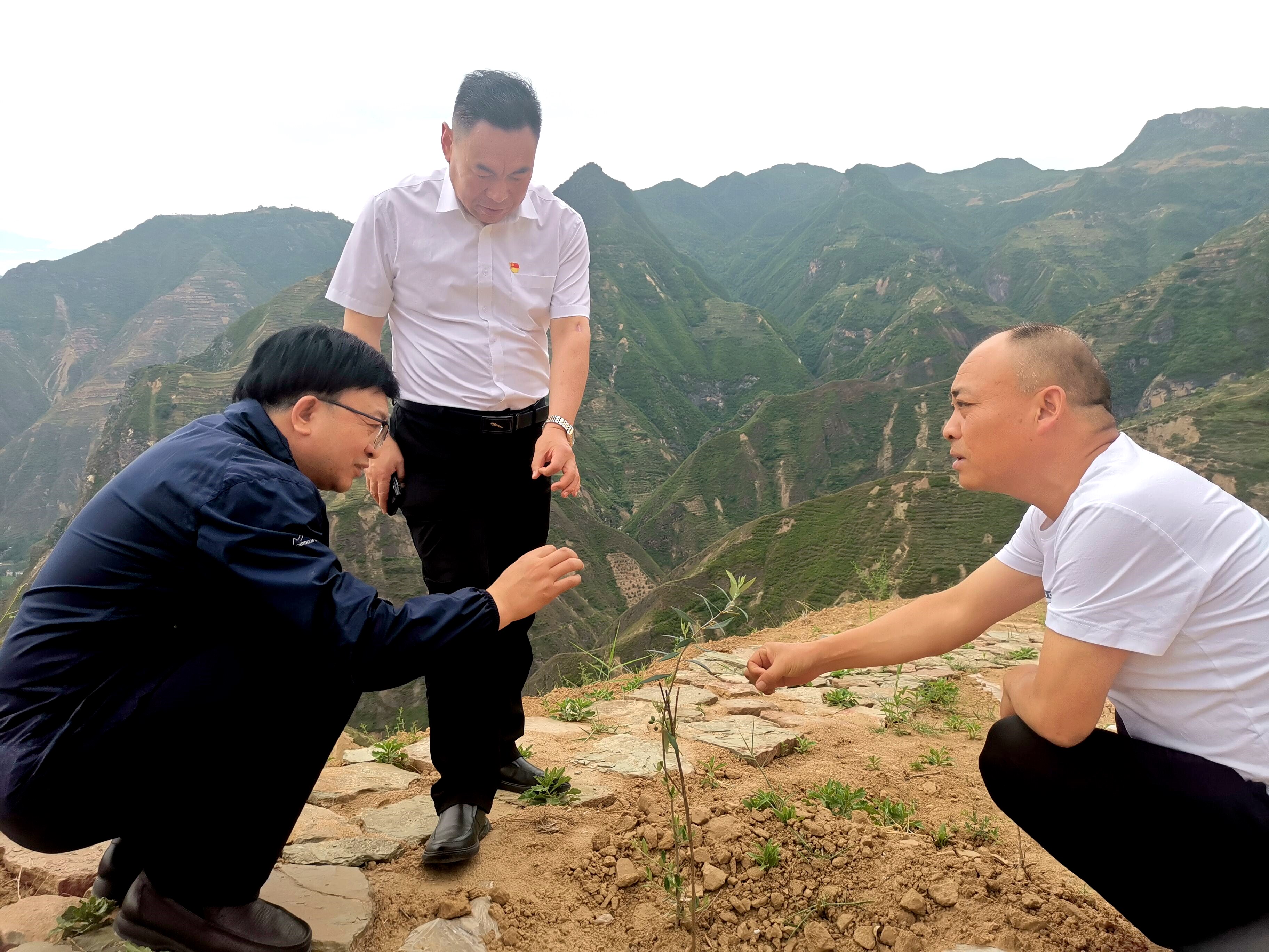 QQ图片20230707202326.jpg